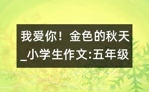 我愛你！金色的秋天_小學(xué)生作文:五年級(jí)