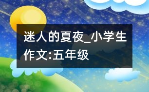 迷人的夏夜_小學(xué)生作文:五年級