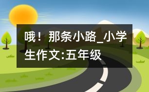 哦！那條小路_小學(xué)生作文:五年級(jí)