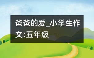 爸爸的愛(ài)_小學(xué)生作文:五年級(jí)