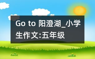 Go to 陽澄湖_小學(xué)生作文:五年級