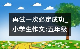 再試一次,必定成功_小學(xué)生作文:五年級