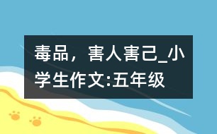 毒品，害人害己_小學生作文:五年級