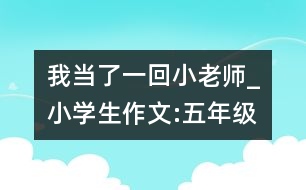 我當(dāng)了一回小老師_小學(xué)生作文:五年級(jí)