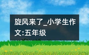 旋風(fēng)來(lái)了_小學(xué)生作文:五年級(jí)