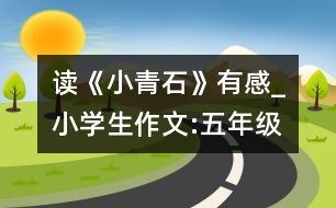 讀《小青石》有感_小學(xué)生作文:五年級