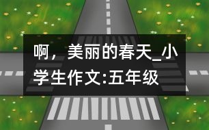 啊，美麗的春天_小學(xué)生作文:五年級(jí)