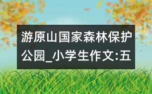 游原山國家森林保護公園_小學生作文:五年級