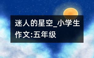 迷人的星空_小學(xué)生作文:五年級