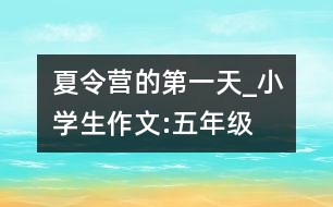 夏令營的第一天_小學(xué)生作文:五年級(jí)