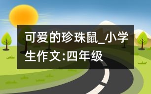 可愛的珍珠鼠_小學生作文:四年級