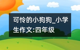 可憐的小狗狗_小學(xué)生作文:四年級(jí)