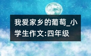 我愛家鄉(xiāng)的葡萄_小學生作文:四年級