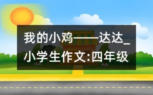 我的小雞――達達_小學生作文:四年級