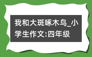 我和大斑啄木鳥_小學生作文:四年級