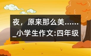 夜，原來那么美……_小學(xué)生作文:四年級