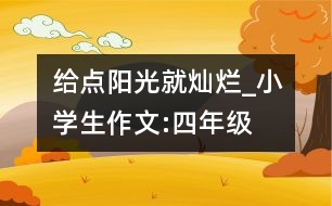 給點(diǎn)陽光就燦爛_小學(xué)生作文:四年級