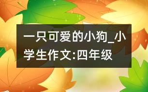 一只可愛的小狗_小學(xué)生作文:四年級