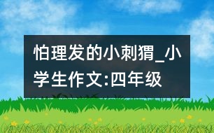 怕理發(fā)的小刺猬_小學(xué)生作文:四年級