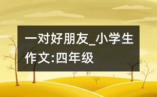 一對好朋友_小學(xué)生作文:四年級