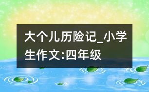 大個(gè)兒歷險(xiǎn)記_小學(xué)生作文:四年級