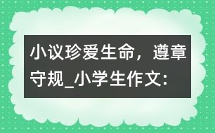 小議“珍愛生命，遵章守規(guī)”_小學生作文:四年級