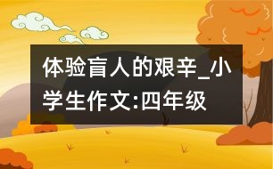 體驗盲人的艱辛_小學(xué)生作文:四年級