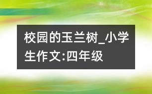 校園的玉蘭樹_小學生作文:四年級