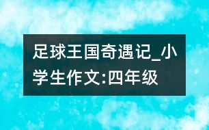 足球王國奇遇記_小學(xué)生作文:四年級