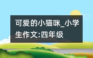 可愛的小貓咪_小學生作文:四年級