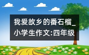 我愛故鄉(xiāng)的番石榴_小學(xué)生作文:四年級