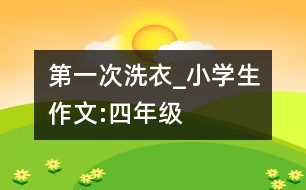 第一次洗衣_小學生作文:四年級