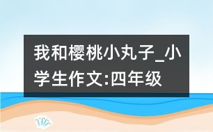 我和櫻桃小丸子_小學(xué)生作文:四年級(jí)