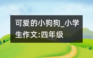 可愛的小狗狗_小學(xué)生作文:四年級