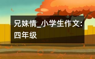 兄妹情_小學(xué)生作文:四年級