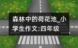 森林中的荷花池_小學(xué)生作文:四年級