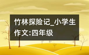 竹林“探險”記_小學(xué)生作文:四年級