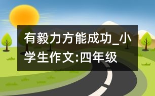 有毅力方能成功_小學(xué)生作文:四年級(jí)