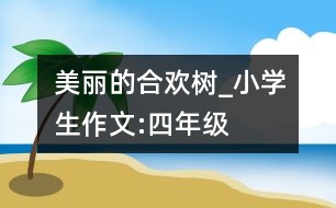 美麗的合歡樹_小學(xué)生作文:四年級