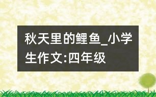 秋天里的鯉魚_小學生作文:四年級