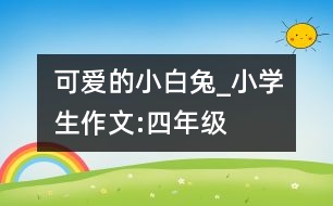 可愛的小白兔_小學生作文:四年級