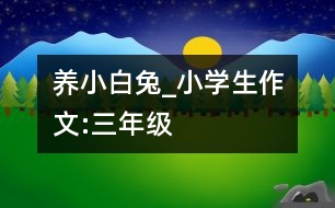 養(yǎng)小白兔_小學生作文:三年級