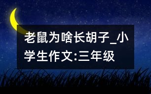 老鼠為啥長(zhǎng)胡子_小學(xué)生作文:三年級(jí)