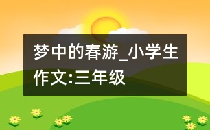 夢中的春游_小學生作文:三年級