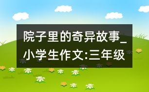 院子里的奇異故事_小學(xué)生作文:三年級