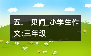 “五.一”見聞_小學(xué)生作文:三年級