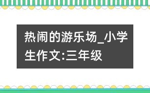 熱鬧的游樂(lè)場(chǎng)_小學(xué)生作文:三年級(jí)