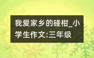 我愛家鄉(xiāng)的碰柑_小學(xué)生作文:三年級(jí)