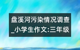 盤溪河污染情況調(diào)查_小學(xué)生作文:三年級