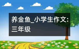 養(yǎng)金魚_小學生作文:三年級